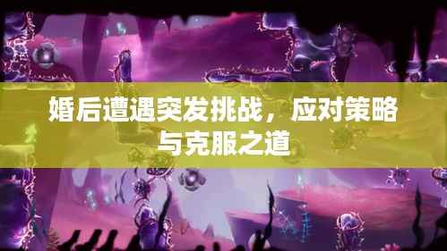 婚后遭遇突发挑战，应对策略与克服之道