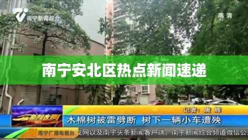 南宁安北区热点新闻速递