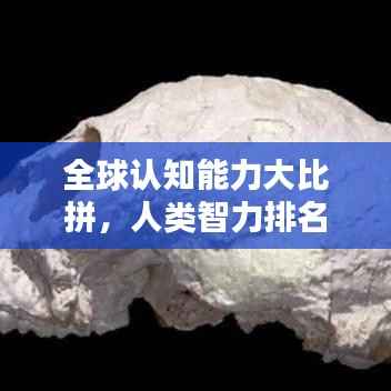 全球认知能力大比拼，人类智力排名揭秘！