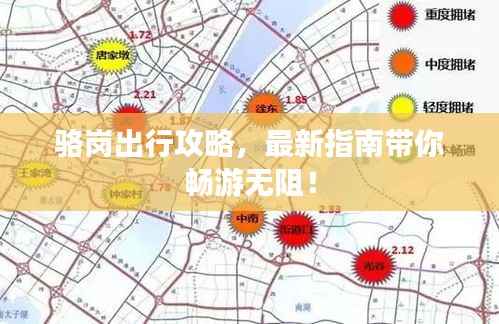 骆岗出行攻略，最新指南带你畅游无阻！