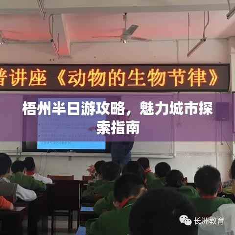 梧州半日游攻略，魅力城市探索指南