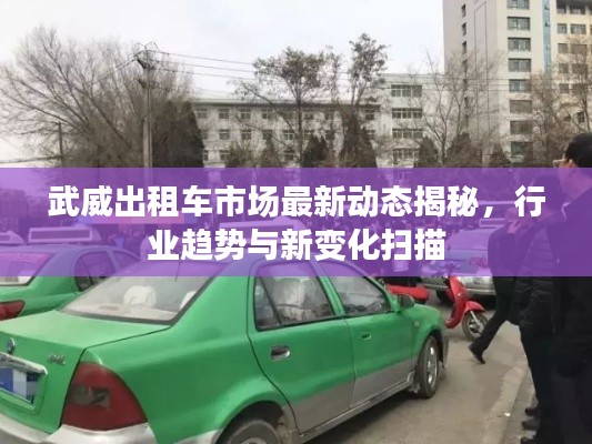 武威出租车市场最新动态揭秘，行业趋势与新变化扫描