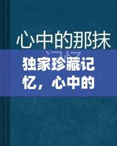 独家珍藏记忆,心中的宝贵瞬间下载回顾