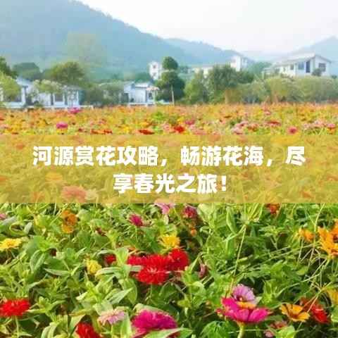 河源赏花攻略，畅游花海，尽享春光之旅！