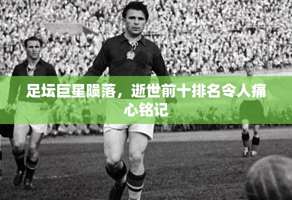 独学寡闻 第4页