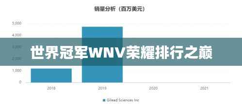 世界冠军WNV荣耀排行之巅