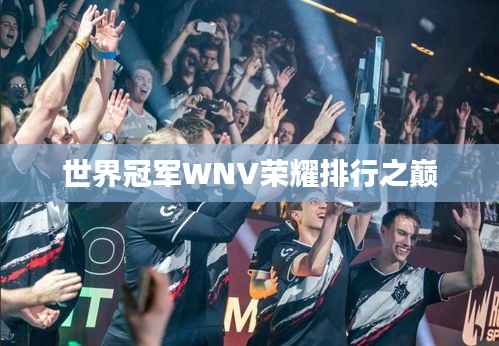 世界冠军WNV荣耀排行之巅