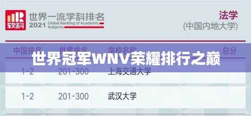 世界冠军WNV荣耀排行之巅