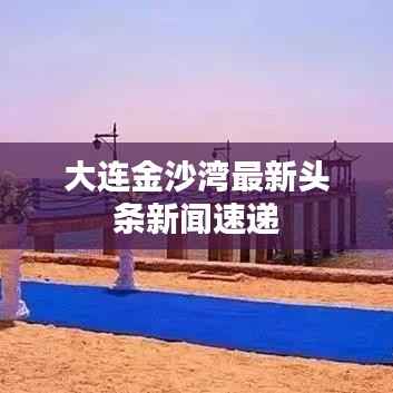 大连金沙湾最新头条新闻速递