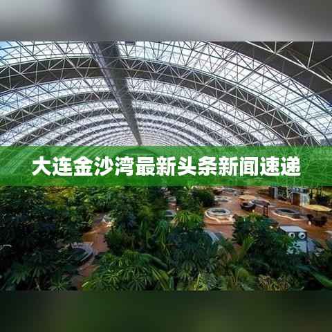 大连金沙湾最新头条新闻速递