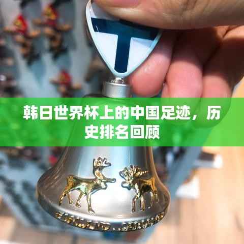 韩日世界杯上的中国足迹，历史排名回顾