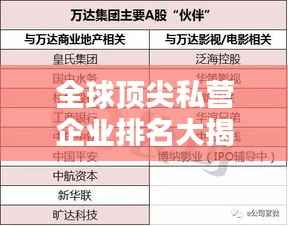 全球顶尖私营企业排名大揭秘，探究私有公司的世界地位
