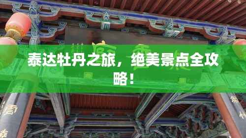 泰达牡丹之旅，绝美景点全攻略！