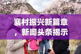 襄村振兴新篇章，新闻头条揭示乡村发展动态