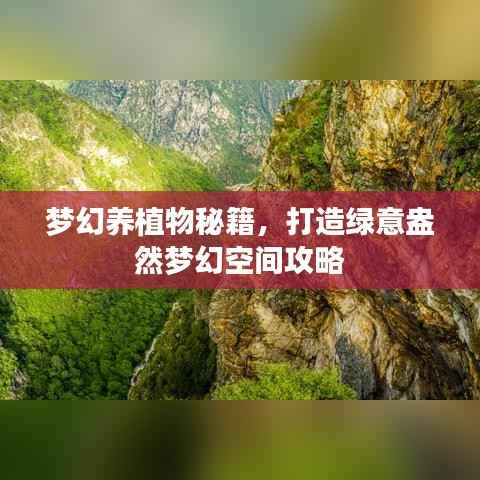 梦幻养植物秘籍,打造绿意盎然梦幻空间攻略
