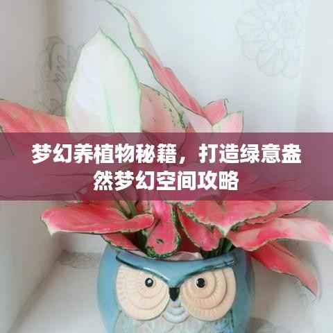 梦幻养植物秘籍,打造绿意盎然梦幻空间攻略