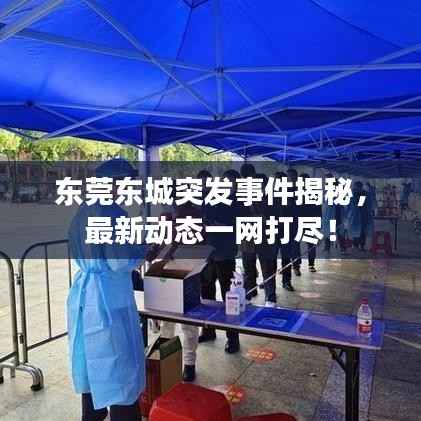 东莞东城突发事件揭秘，最新动态一网打尽！