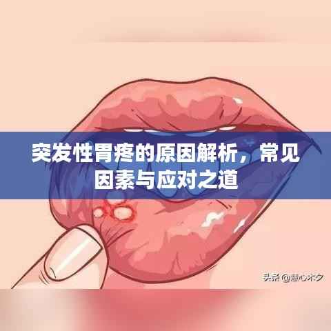 突发性胃疼的原因解析，常见因素与应对之道