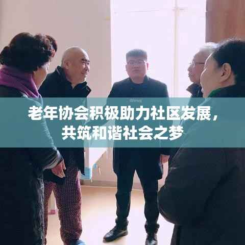 老年协会积极助力社区发展，共筑和谐社会之梦