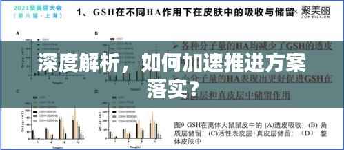 深度解析，如何加速推进方案落实？