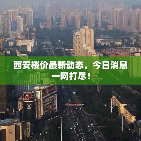 映月读书 第4页