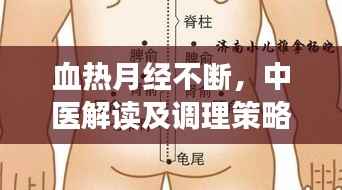 血热月经不断，中医解读及调理策略