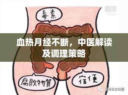 血热月经不断,中医解读及调理策略