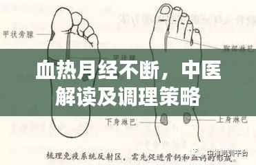 血热月经不断,中医解读及调理策略