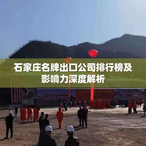 石家庄名牌出口公司排行榜及影响力深度解析