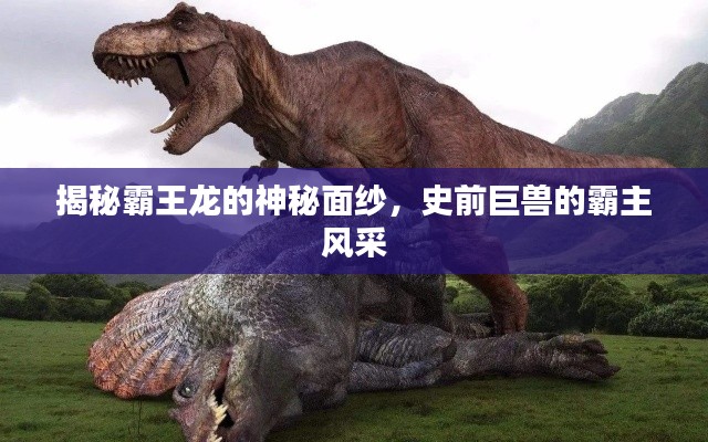 揭秘霸王龙的神秘面纱，史前巨兽的霸主风采