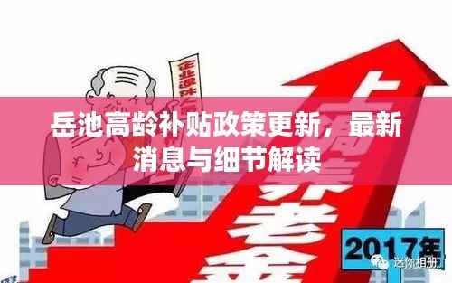 岳池高龄补贴政策更新，最新消息与细节解读