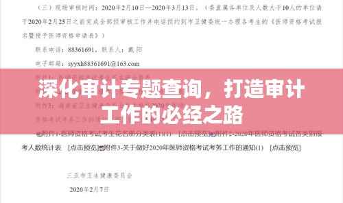 深化审计专题查询，打造审计工作的必经之路