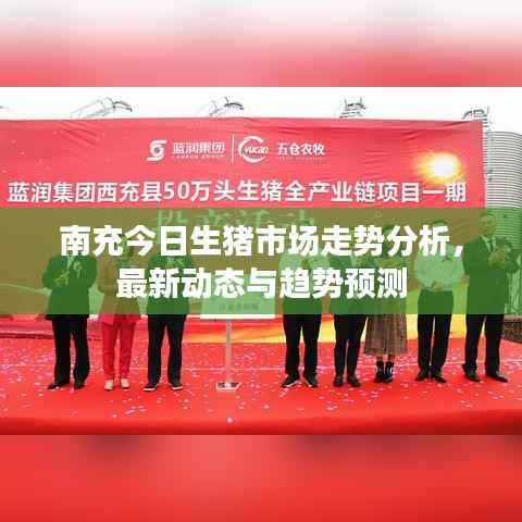 南充今日生猪市场走势分析，最新动态与趋势预测
