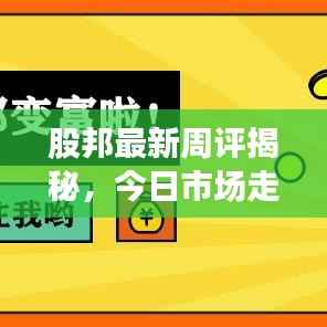 股邦最新周评揭秘，今日市场走势分析与预测