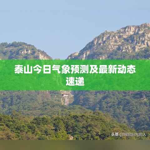 泰山今日气象预测及最新动态速递