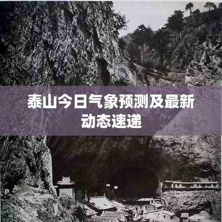 泰山今日气象预测及最新动态速递