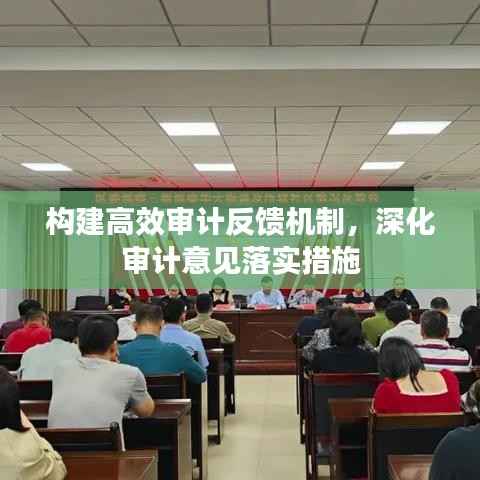 构建高效审计反馈机制，深化审计意见落实措施