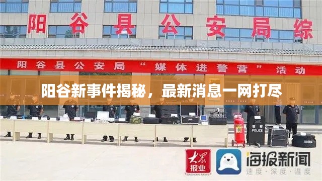 阳谷新事件揭秘，最新消息一网打尽