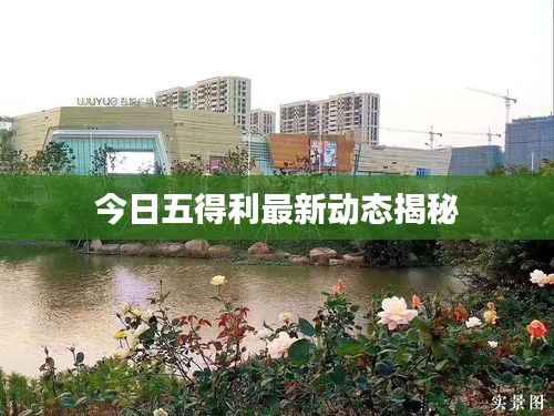 今日五得利最新动态揭秘