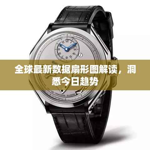 全球最新数据扇形图解读，洞悉今日趋势