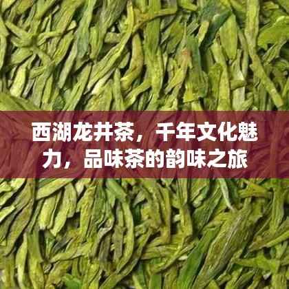 西湖龙井茶，千年文化魅力，品味茶的韵味之旅