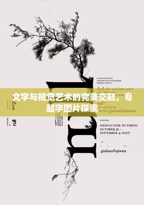 文字与视觉艺术的完美交融，专题字图片探索