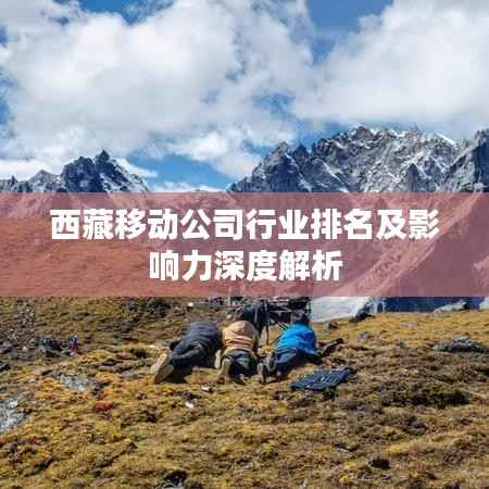 西藏移动公司行业排名及影响力深度解析