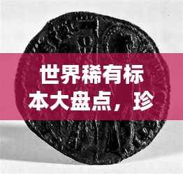 世界稀有标本大盘点，珍贵收藏品排行榜