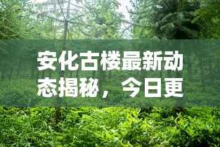安化古楼最新动态揭秘，今日更新消息一览