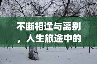 走马章台 第4页