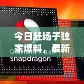 今日赶场子独家爆料，最新消息视频抢先看！