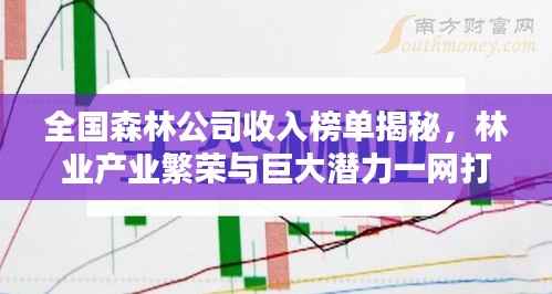 全国森林公司收入榜单揭秘，林业产业繁荣与巨大潜力一网打尽！