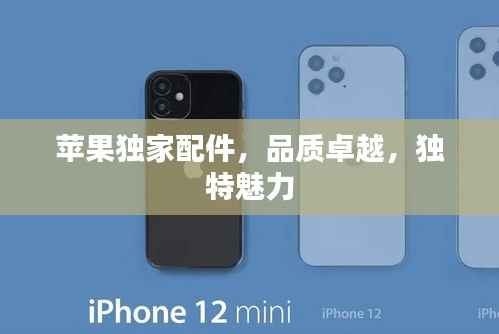 苹果独家配件,品质卓越,独特魅力