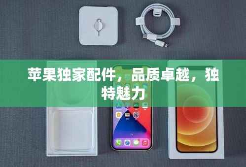 苹果独家配件,品质卓越,独特魅力